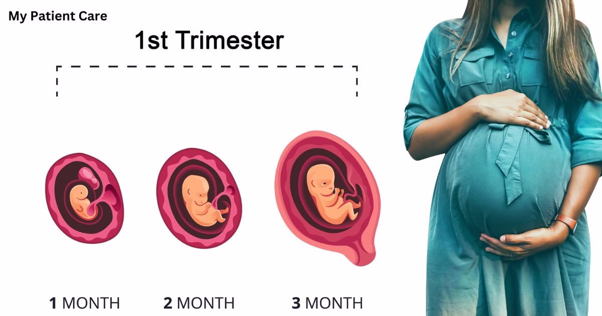 1st trimester of pregnancy